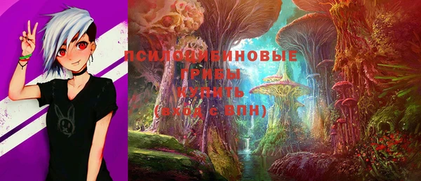 PSILOCYBIN Армянск