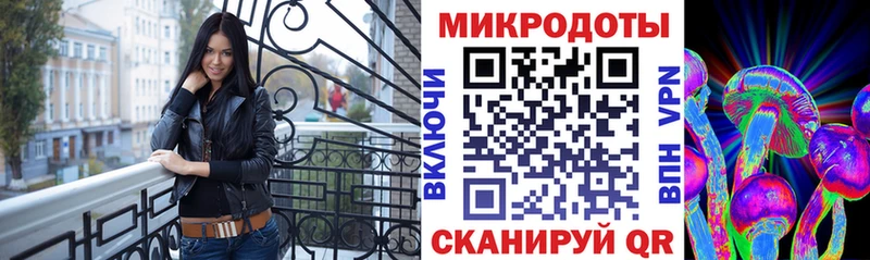 ссылка на мегу зеркало  Таштагол  Галлюциногенные грибы мицелий 